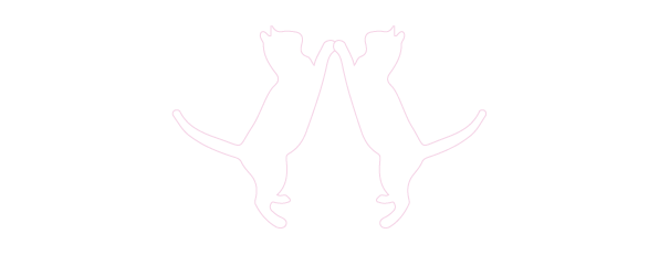 GATOS-03.png